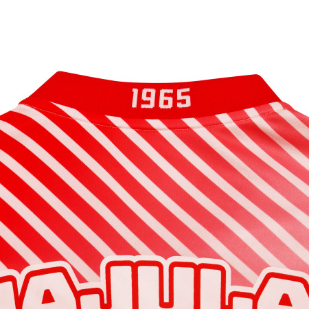 Majulah Tech V-Neck Jersey - Stripes